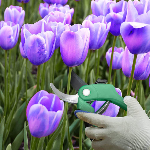 8" Green Bypass Pruning Shears Heavy Duty | Flower Shears & Pruning Scissors W/Steel Blades, Blade Lock & No-Slip Grip | 8Mm Cut Capacity Garden Clippers Handheld for Flower Stems & Branches